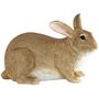 DA-CONEJO-008 -1-.jpg